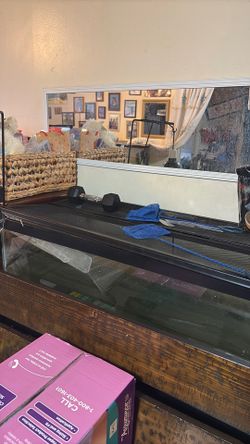 Turtle tanks with filters and stands