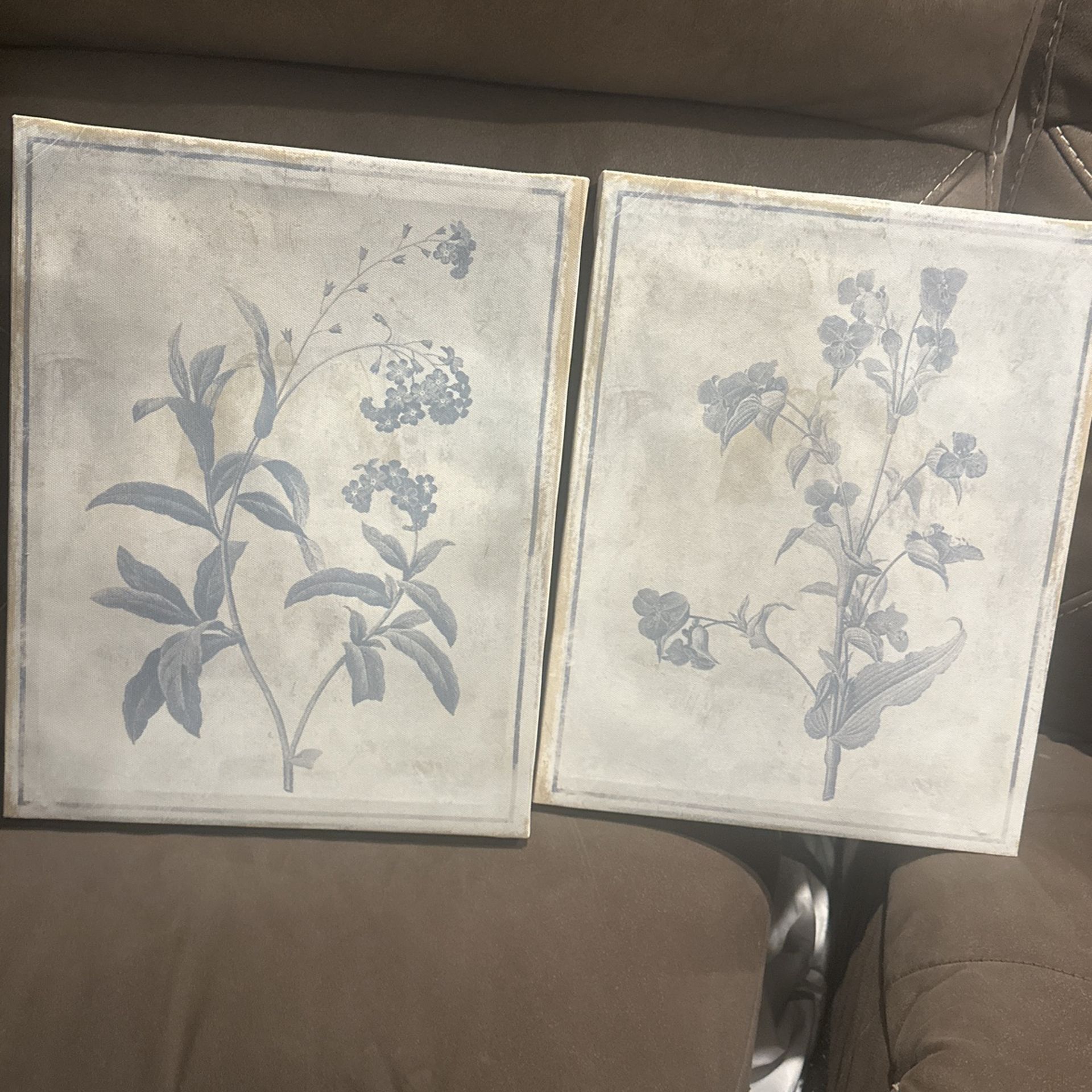 Home Decor 