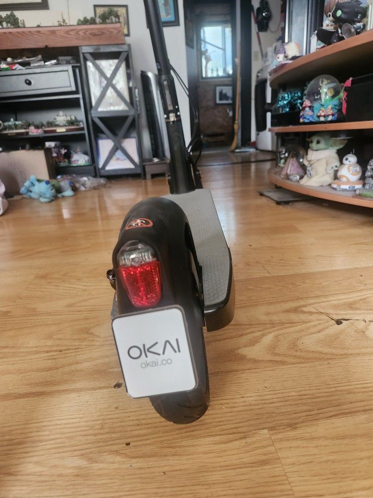 Electric Stand Up Scooter 