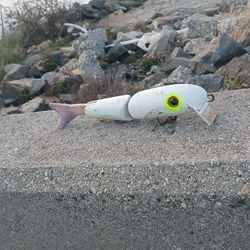 Custom M.S  Slammer 50$