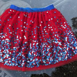 Large 10-12 Skirt