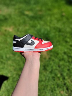 Nike Dunk Low EMB " NBA 75th Anniversary Chicago "  9c
