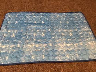 Blue pet cooling mat