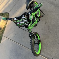 Kid 16 inch Dynacraft Bike Minecraft