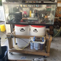 75 Gal Aquarium 