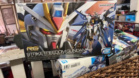 Bandai RG ZGMF-X20A strike freedom GUNDAM mobile suit