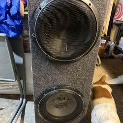 12 Inch Slim Sub Box