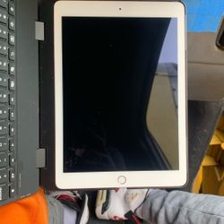 iPad Mini 