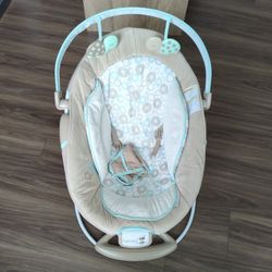  Baby Bouncer