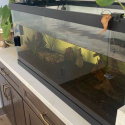 Fish Tank- NO FISH NO LIVE ANIMALS