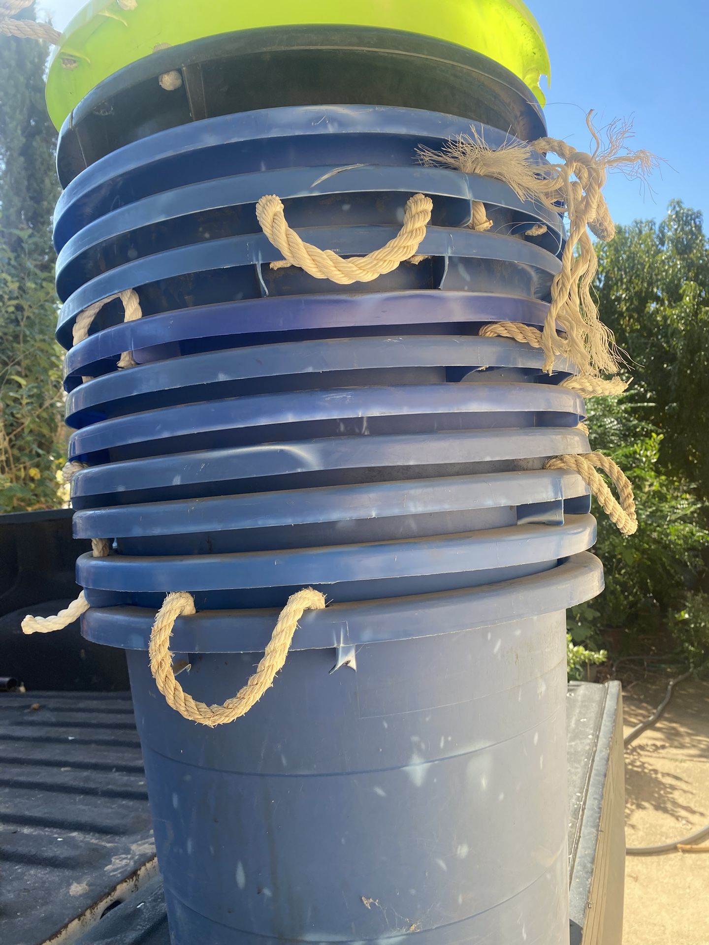 Container/ Pot Plants/Trash Can