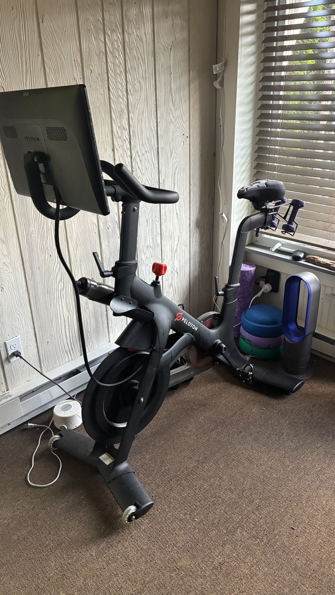 Peloton Bike (used)