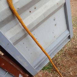 Old Hand Carved Walking Stick-Snake