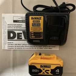 DEWALT. 20V MAX XR Lithium Ion 4.0Ah Starter Kit.