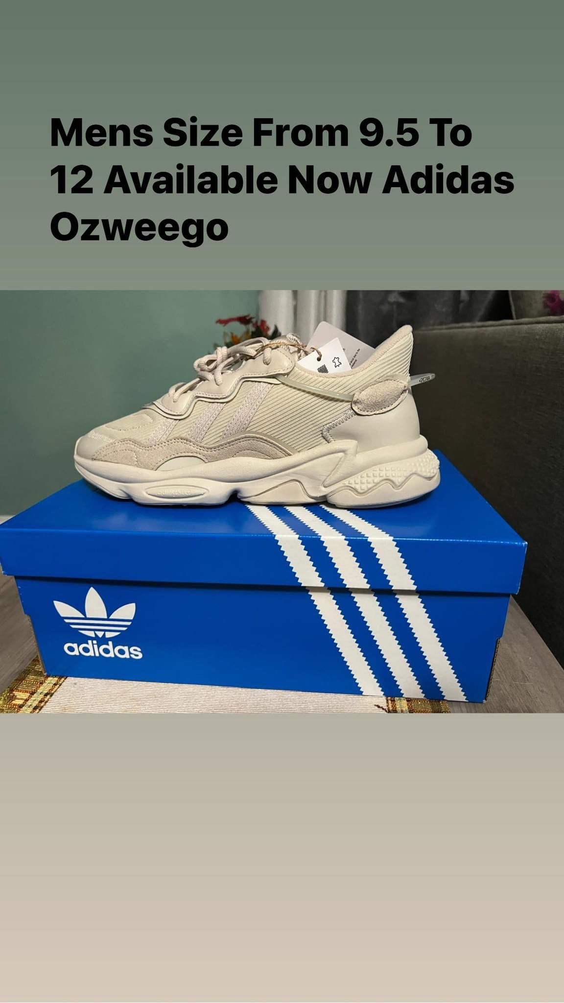 Adidas OzWeego ( Mens ) 