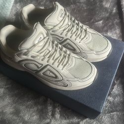 Dior B30 Grey Reflective Size 45 