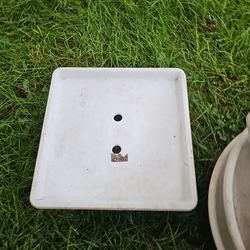 plant pot or planter 