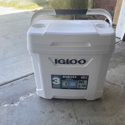 30 Quart Igloo Cooler