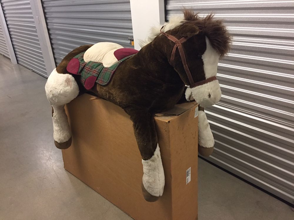 Hugfun horse sale