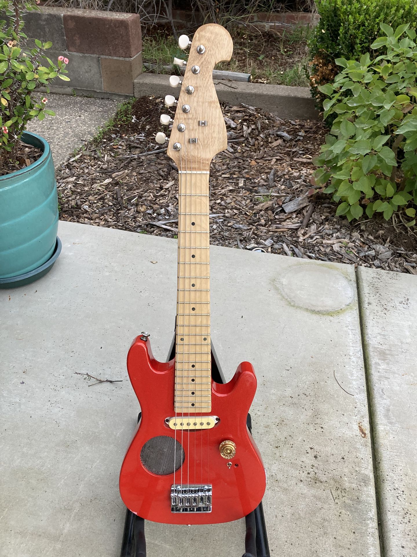 Washburn Little Lyon