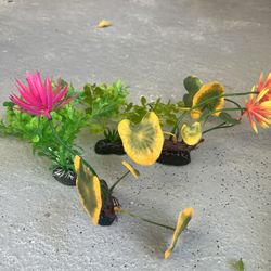 Decoración For Aquarium