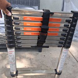 Brand New Ladder 