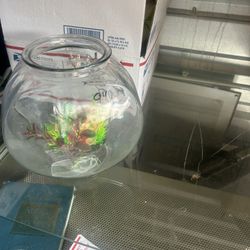 9in Fish Bowl W Decor