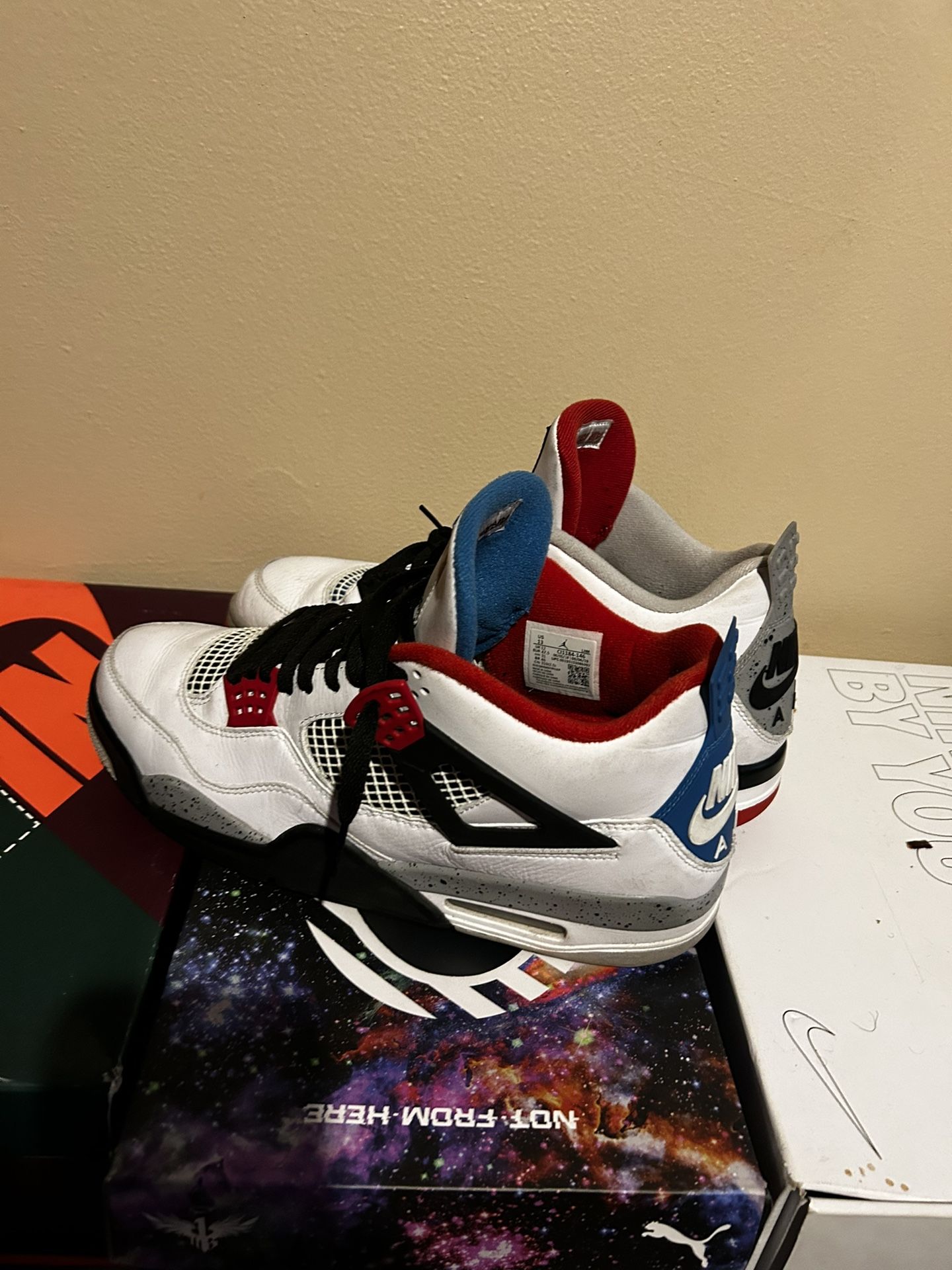 what the jordan 4 SZ.13