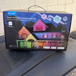 Govee Lights 