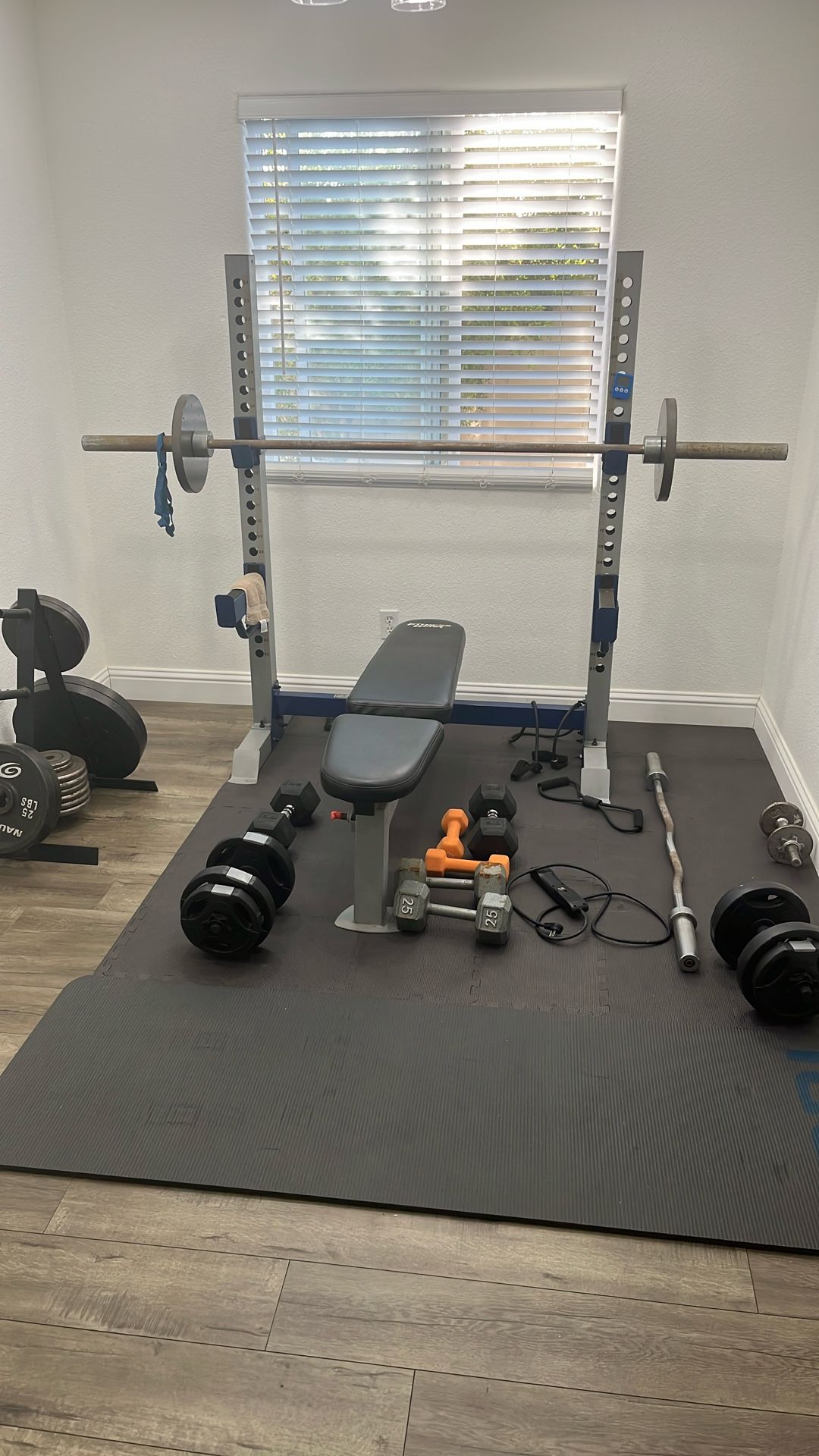 Bench Press And Weights Plus Curl Bar