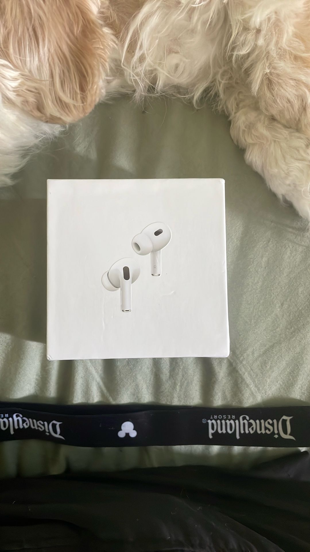 Apple AirPods Pro 2nd Generation
