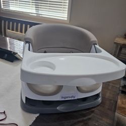 Ingenuity Baby Seat