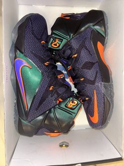 LeBron 12 Instinct