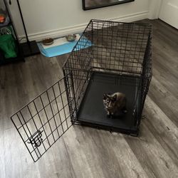 EveryYay 1-Door Folding Crate