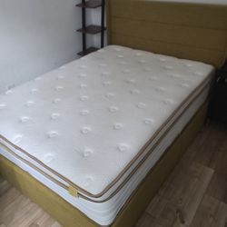 Queen Size Bed + Bed Frame 