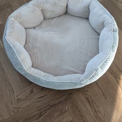 Unused Cat Pet Bed