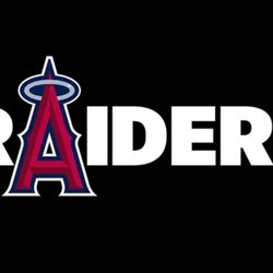 Raiders Angels Flag 5ftx3ft $20 Firm On Price 