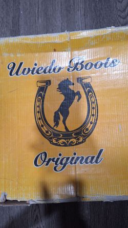 Western boots