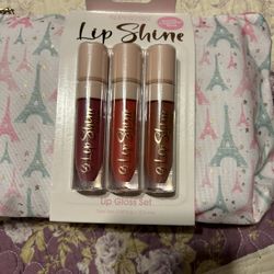 Brand New Cosmetics Bag With New Lip Gloss