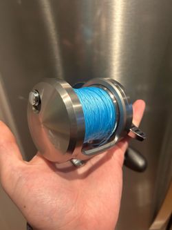 Daiwa Saltiga 40 2 speed