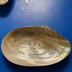 Mother Of Pearl Soap Dish ( Trop & Decatur 