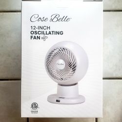 Oscillating Fan