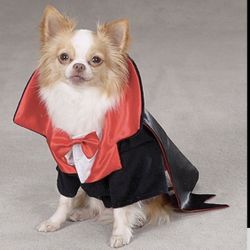Halloween Dracula 🧛‍♂️ Costume For pet 