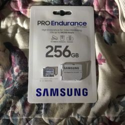 Samsung 256 Gb Sd Card