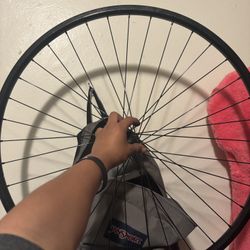 Fixie Rim