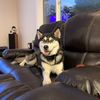 Ben