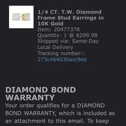 10k Gold Diamond Earring 