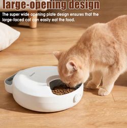 Comedero de gatos automático