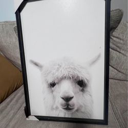 Lama Black Wood Frame 