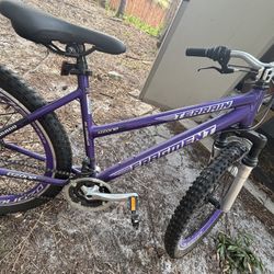 Terrain Fragment Mountain Bike 
